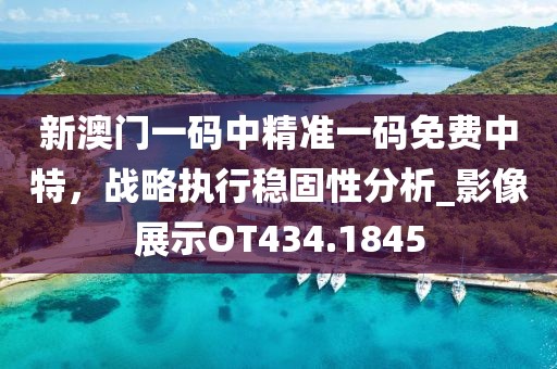 新澳门一码中精准一码免费中特，战略执行稳固性分析_影像展示OT434.1845
