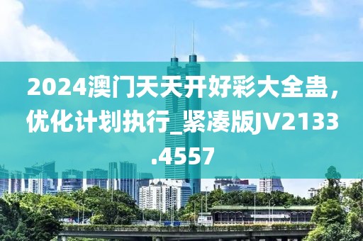 2024澳门天天开好彩大全蛊，优化计划执行_紧凑版JV2133.4557
