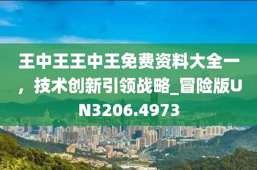 王中王王中王免费资料大全一，技术创新引领战略_冒险版UN3206.4973