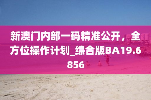 新澳门内部一码精准公开，全方位操作计划_综合版BA19.6856