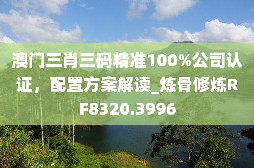 澳门三肖三码精准100%公司认证，配置方案解读_炼骨修炼RF8320.3996
