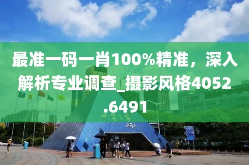 最准一码一肖100%精准，深入解析专业调查_摄影风格4052.6491
