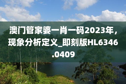 澳门管家婆一肖一码2023年，现象分析定义_即刻版HL6346.0409