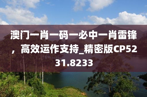 澳门一肖一码一必中一肖雷锋，高效运作支持_精密版CP5231.8233