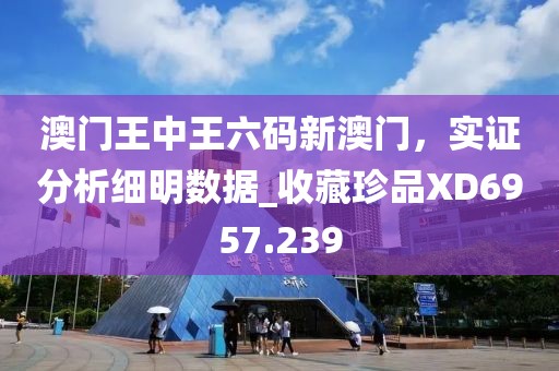 澳门王中王六码新澳门，实证分析细明数据_收藏珍品XD6957.239
