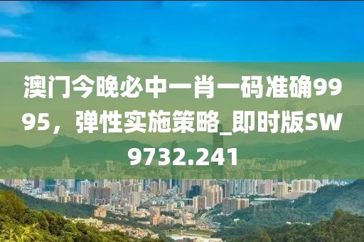 澳门今晚必中一肖一码准确9995，弹性实施策略_即时版SW9732.241