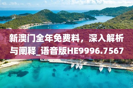 新澳门全年免费料，深入解析与阐释_语音版HE9996.7567