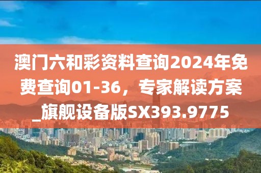 澳门六和彩资料查询2024年免费查询01-36，专家解读方案_旗舰设备版SX393.9775