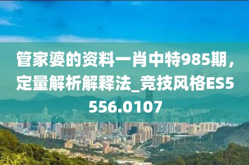 管家婆的资料一肖中特985期，定量解析解释法_竞技风格ES5556.0107