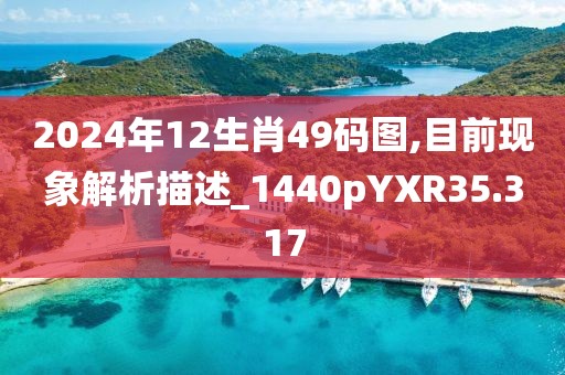 2024年12生肖49码图,目前现象解析描述_1440pYXR35.317