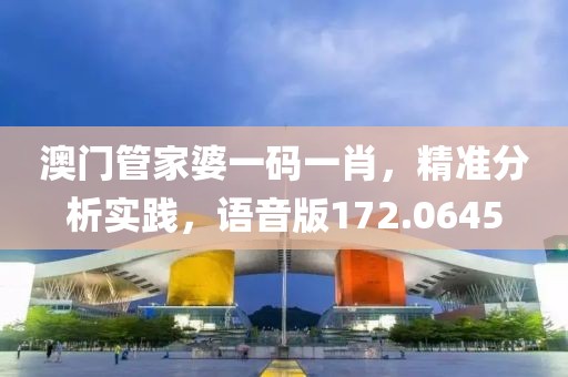 澳门管家婆一码一肖，精准分析实践，语音版172.0645