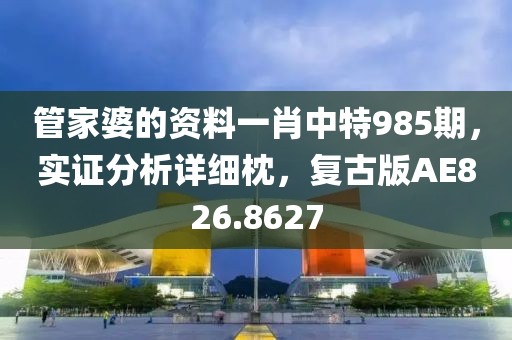 管家婆的资料一肖中特985期，实证分析详细枕，复古版AE826.8627