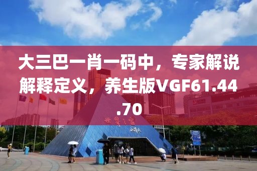 大三巴一肖一码中，专家解说解释定义，养生版VGF61.44.70