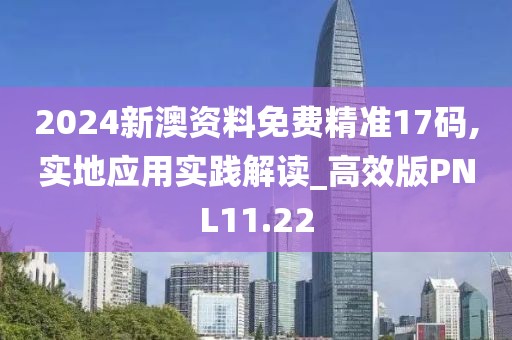 2024新澳资料免费精准17码,实地应用实践解读_高效版PNL11.22