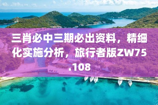 三肖必中三期必出资料，精细化实施分析，旅行者版ZW75.108