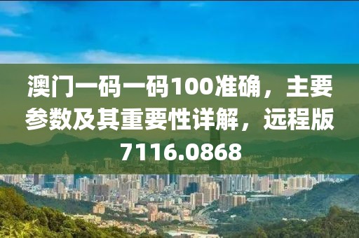 澳门一码一码100准确，主要参数及其重要性详解，远程版7116.0868