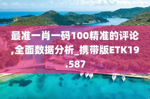 最准一肖一码100精准的评论,全面数据分析_携带版ETK19.587