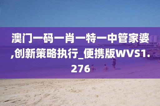 澳门一码一肖一特一中管家婆,创新策略执行_便携版WVS1.276
