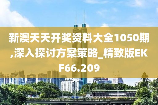 新澳天天开奖资料大全1050期,深入探讨方案策略_精致版EKF66.209