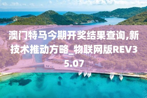 澳门特马今期开奖结果查询,新技术推动方略_物联网版REV35.07