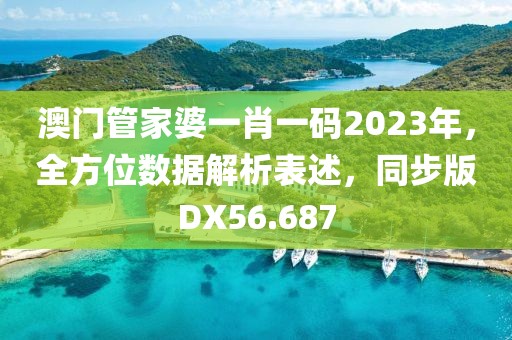 澳门管家婆一肖一码2023年，全方位数据解析表述，同步版DX56.687