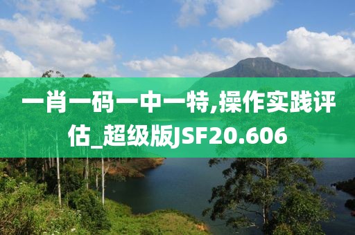 一肖一码一中一特,操作实践评估_超级版JSF20.606