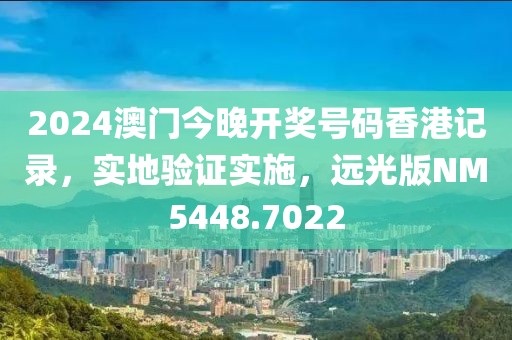 2024澳门今晚开奖号码香港记录，实地验证实施，远光版NM5448.7022