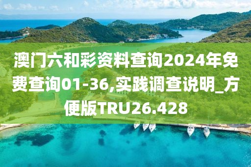 澳门六和彩资料查询2024年免费查询01-36,实践调查说明_方便版TRU26.428