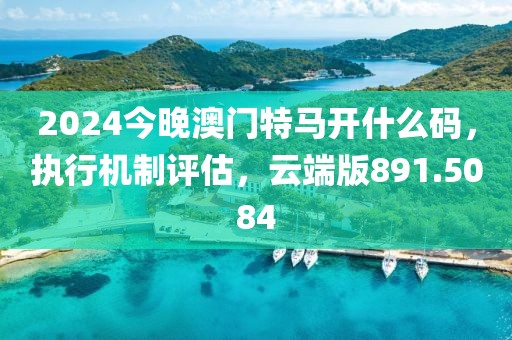 2024今晚澳门特马开什么码，执行机制评估，云端版891.5084