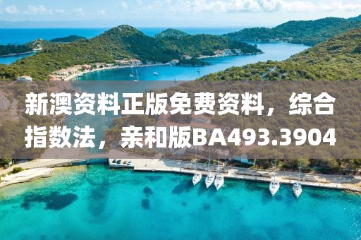 新澳资料正版免费资料，综合指数法，亲和版BA493.3904