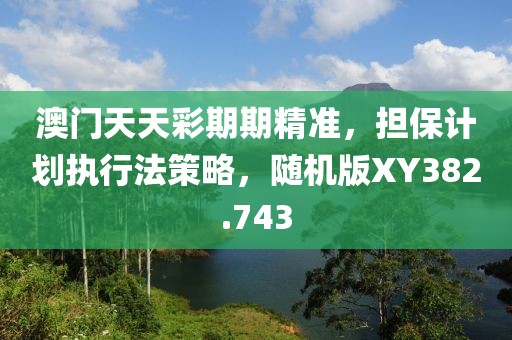 澳门天天彩期期精准，担保计划执行法策略，随机版XY382.743
