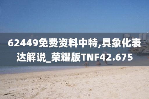 62449免费资料中特,具象化表达解说_荣耀版TNF42.675