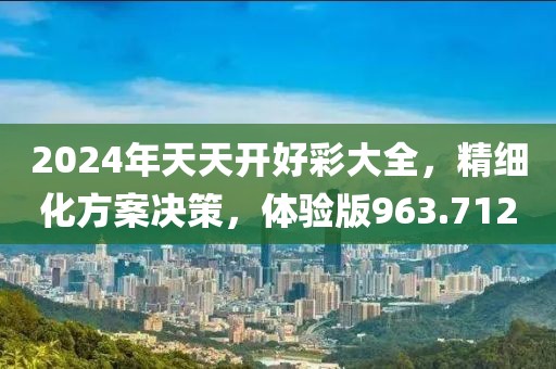 2024年天天开好彩大全，精细化方案决策，体验版963.712