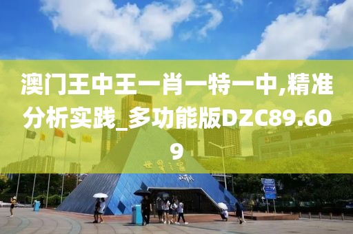 澳门王中王一肖一特一中,精准分析实践_多功能版DZC89.609