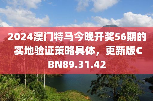 2024澳门特马今晚开奖56期的 实地验证策略具体，更新版CBN89.31.42