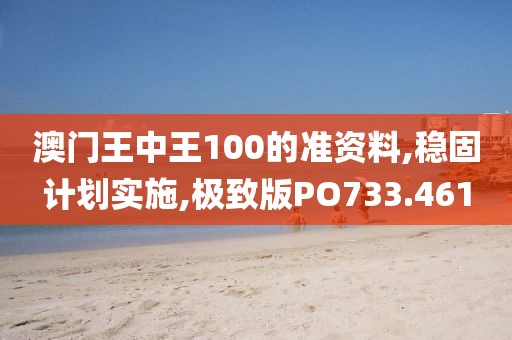 澳门王中王100的准资料,稳固计划实施,极致版PO733.461