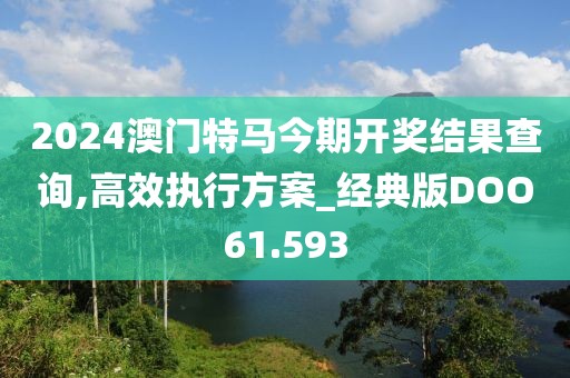 2024澳门特马今期开奖结果查询,高效执行方案_经典版DOO61.593
