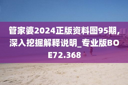 管家婆2024正版资料图95期,深入挖掘解释说明_专业版BOE72.368