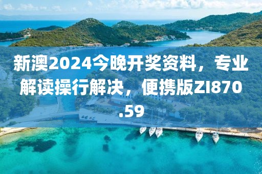 新澳2024今晚开奖资料，专业解读操行解决，便携版ZI870.59