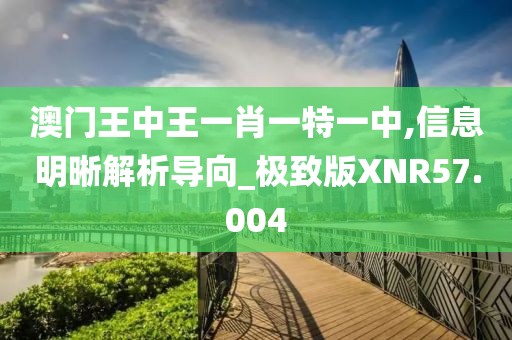 澳门王中王一肖一特一中,信息明晰解析导向_极致版XNR57.004