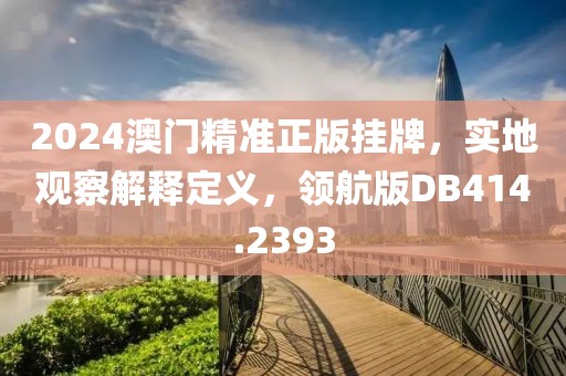 2024澳门精准正版挂牌，实地观察解释定义，领航版DB414.2393
