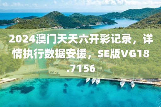 2024澳门天天六开彩记录，详情执行数据安援，SE版VG18.7156