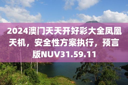 2024澳门天天开好彩大全凤凰天机，安全性方案执行，预言版NUV31.59.11