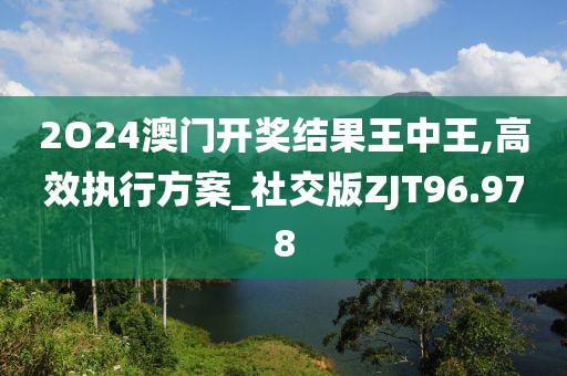 2O24澳门开奖结果王中王,高效执行方案_社交版ZJT96.978