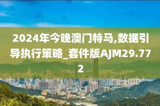 2024年今晚澳门特马,数据引导执行策略_套件版AJM29.772