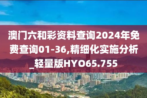 澳门六和彩资料查询2024年免费查询01-36,精细化实施分析_轻量版HYO65.755