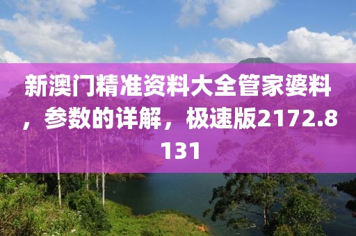新澳门精准资料大全管家婆料，参数的详解，极速版2172.8131