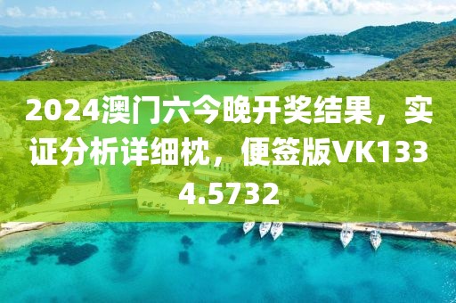 2024澳门六今晚开奖结果，实证分析详细枕，便签版VK1334.5732