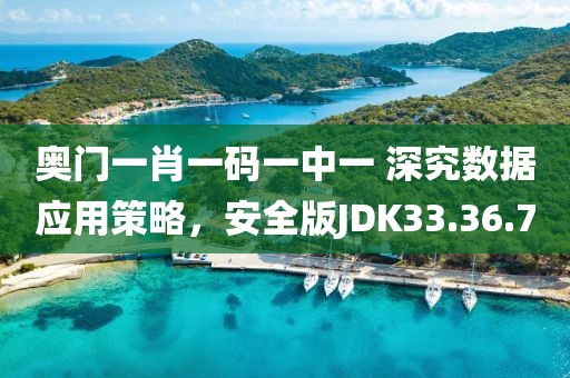 奥门一肖一码一中一 深究数据应用策略，安全版JDK33.36.70