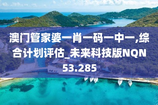 澳门管家婆一肖一码一中一,综合计划评估_未来科技版NQN53.285